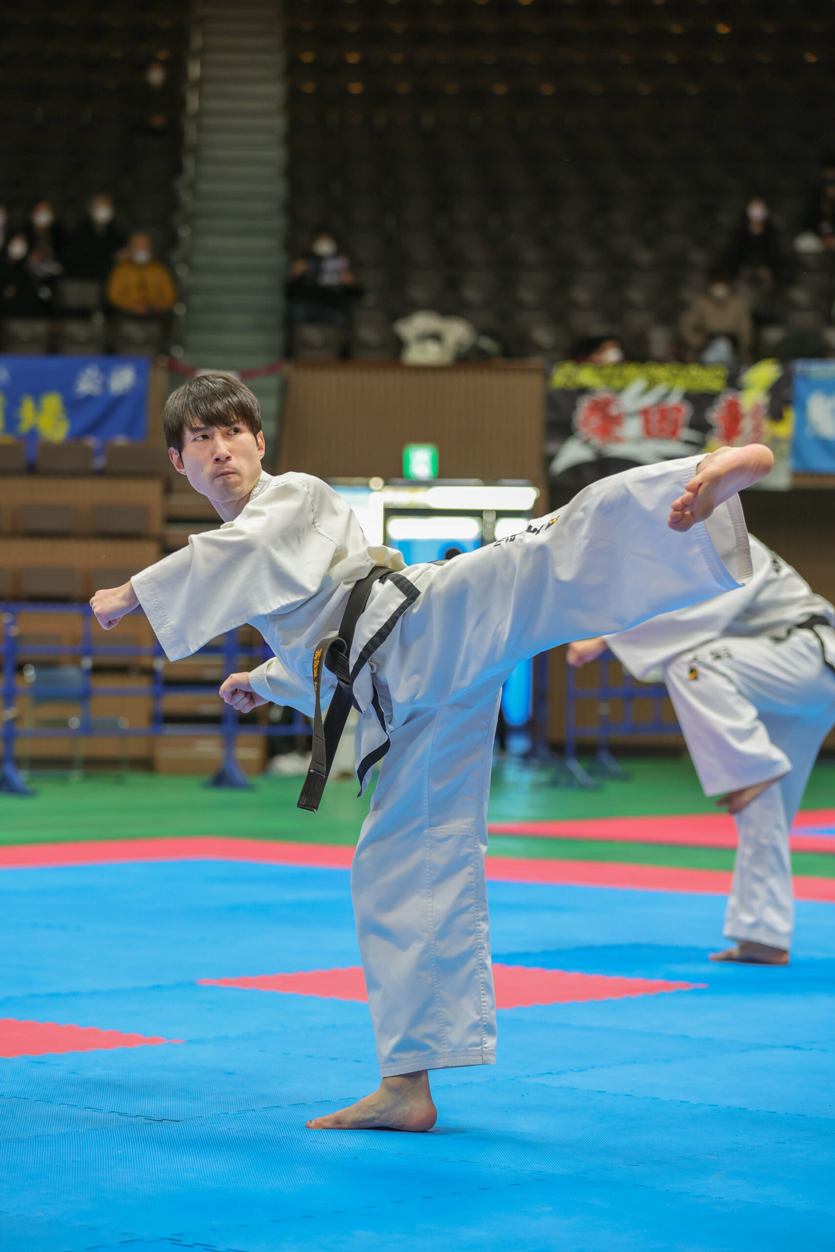 all-japan-taekwondo-65-1