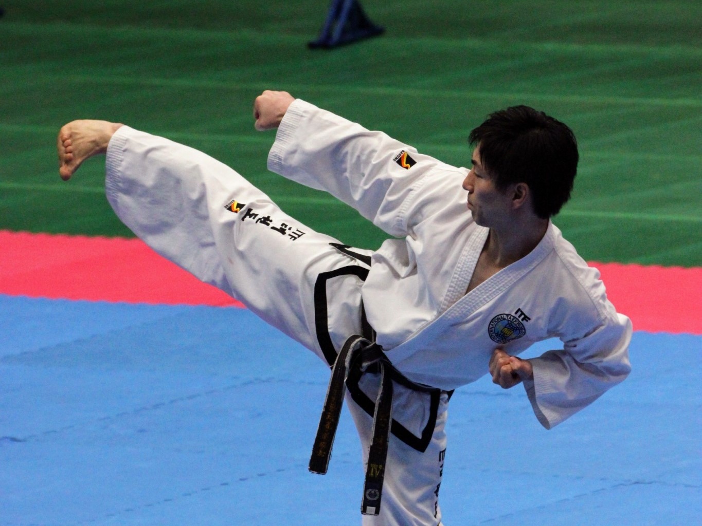 all-japan-taekwondo333