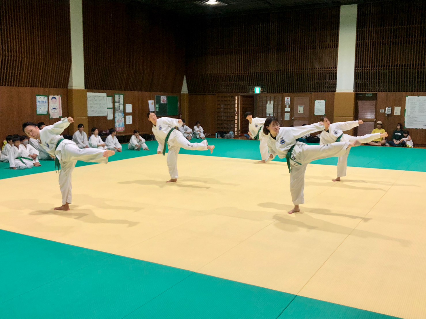 taekwondo-ageo-10
