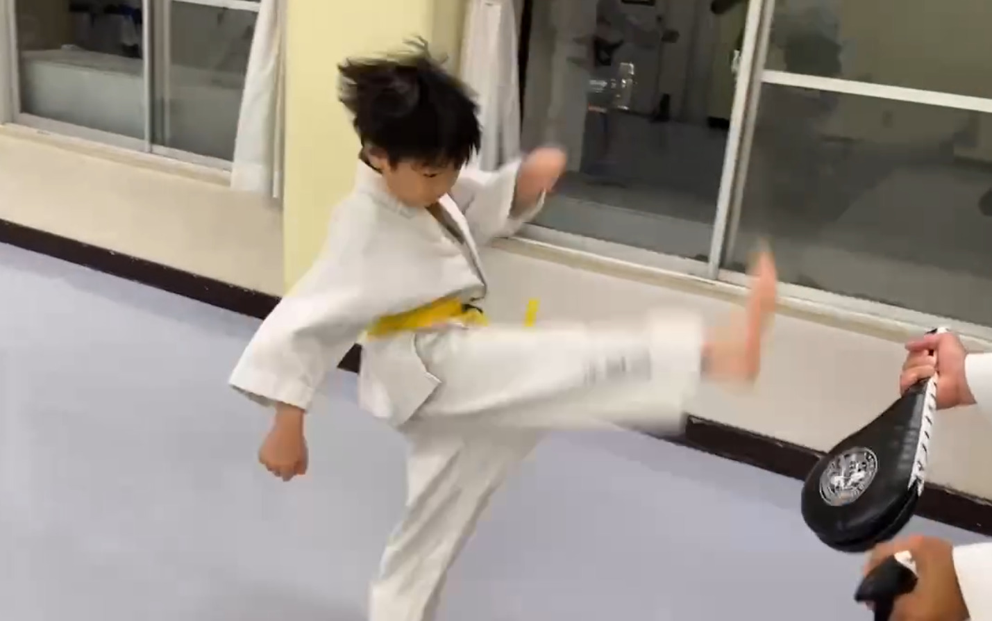 taekwondo-nisshin-