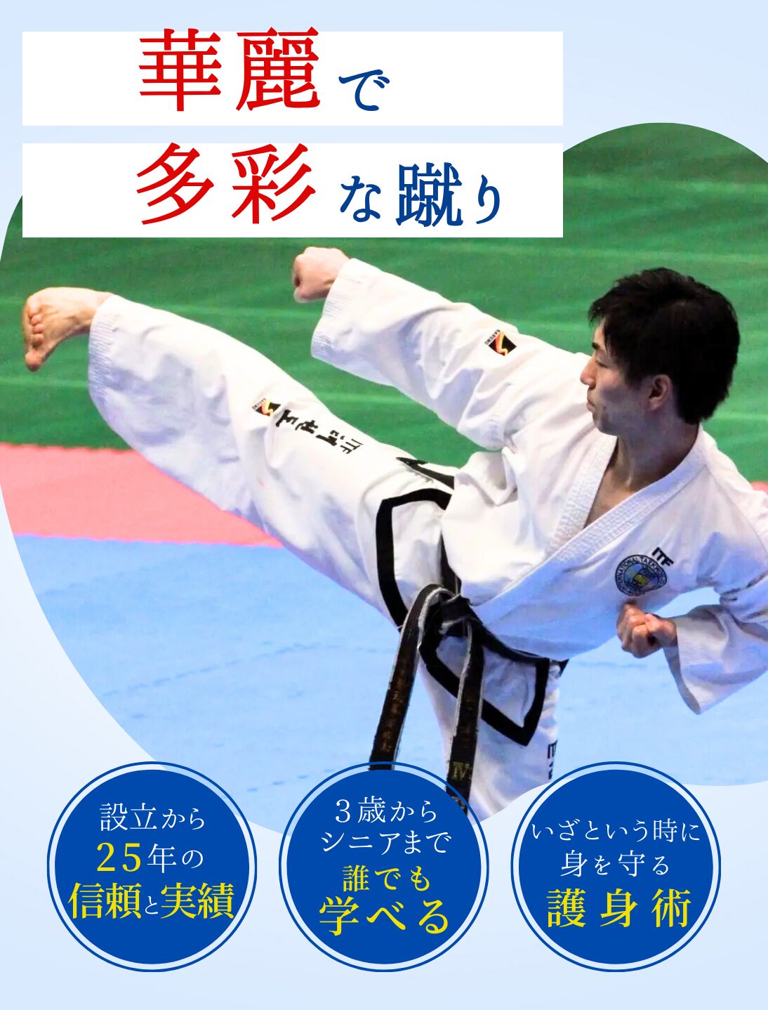 埼玉,東京の武道,格闘技,習い事ならテコンドー・ファラン朴武館